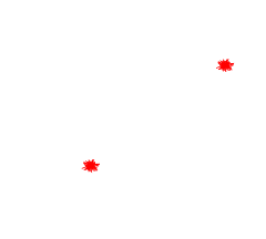 Logo de réparation d'éclat, une voiture et un camion avec un éclat dans le pare-brise